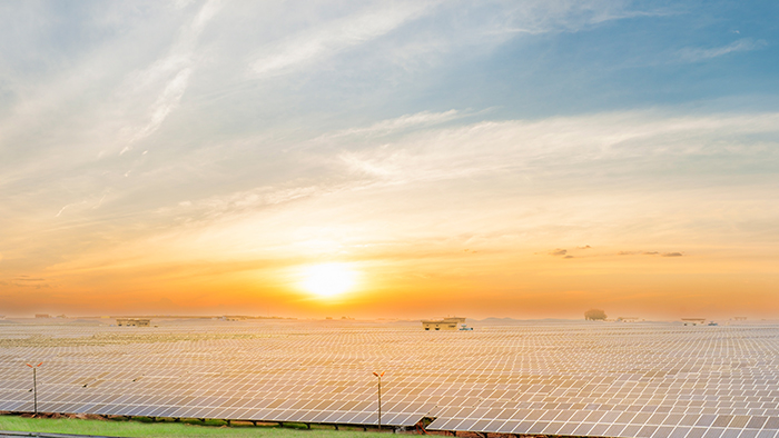 インド、ニーマチ